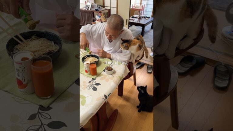 #住職の朝ごはん ぶっかけそうめん納豆のせ 胡瓜の辛子漬け #那須の長楽寺 #猫のいる暮らし #猫