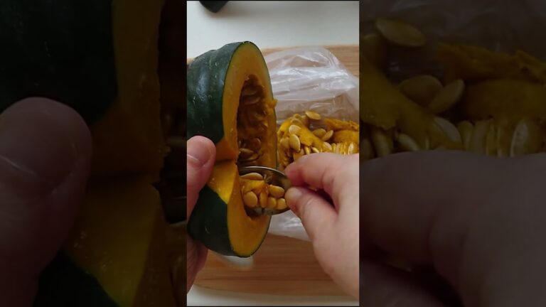 かぼちゃの煮物黄金比