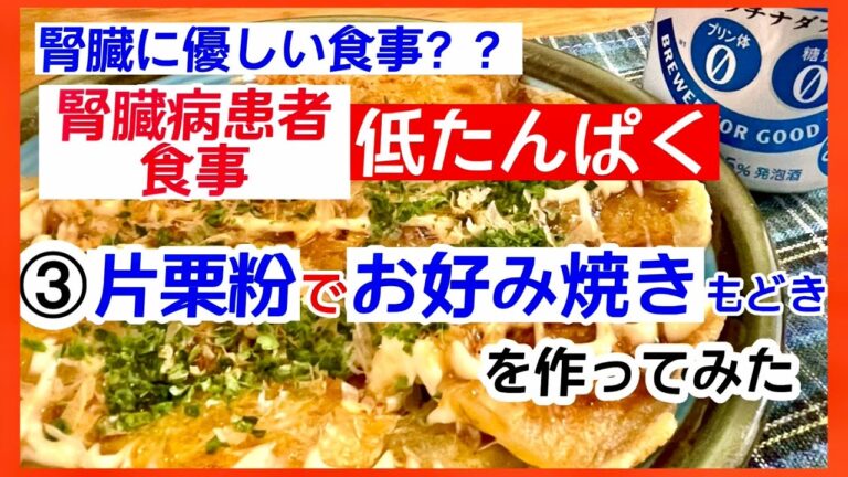 【腎臓病食事】③腎臓に優しい食事？低たんぱく？片栗粉でお好み焼きもどきを作ってみた！【透析→移植患者】