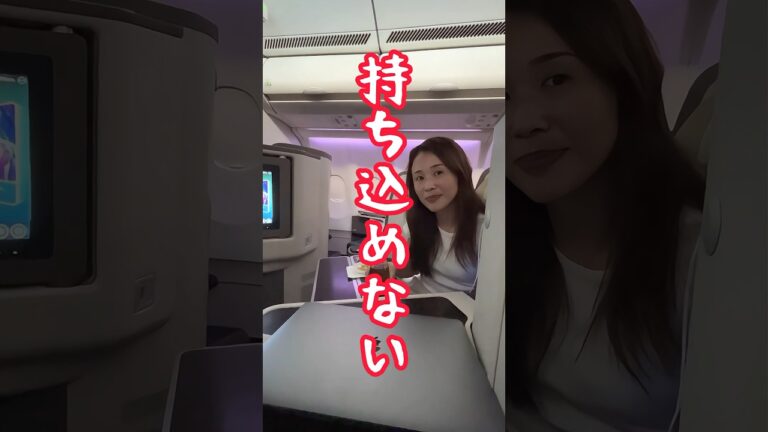 【何度も失敗】海外旅行で機内に持ち込んではいけない意外なアイテム