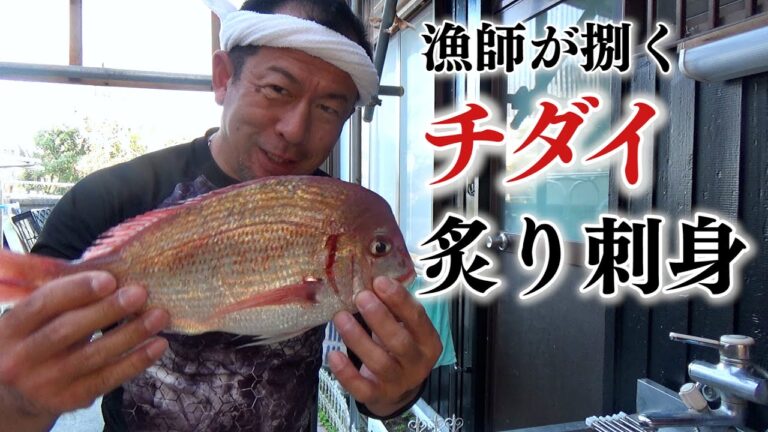 【底引網漁】上達した包丁捌きで見せる！漁師メシ「チダイの炙り刺身」