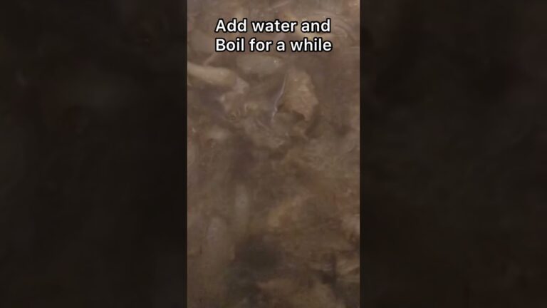 Japanese food  Hashed beef  Hayashi rice  ハッシュドビーフ　ハヤシライス