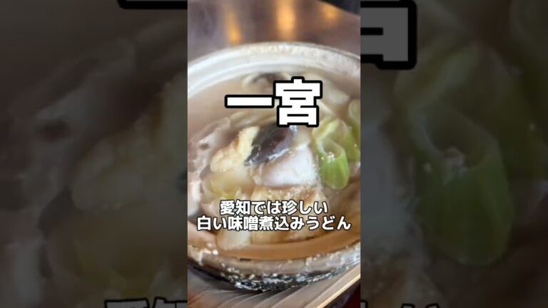 愛知の白い味噌煮込みうどん　よし㐂　#愛知グルメ #味噌煮込みうどん #うどん #japanesefood #shorts