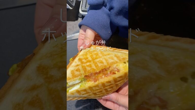 【コストコのアボガドディップでホットサンド】ほんと美味しい🤤 #料理 #料理動画 #レシピ動画 #おうちごはん #簡単レシピ #ホットサンド #ワカモレ　#コストコ商品 #アボカドディップ