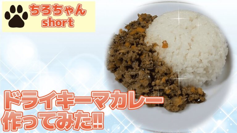 感動の美味しさ。キーマカレー作ってみた。４K＃shorts