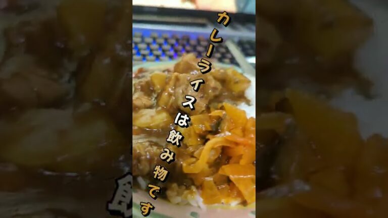 カレーライスは飲み物です　카레라이스