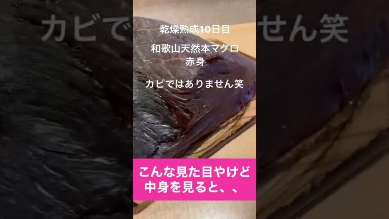 生本マグロ乾燥熟成10日目