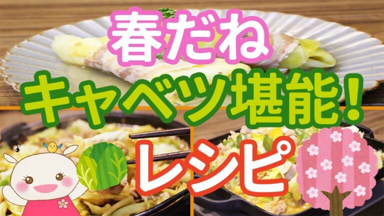 春キャベツを使って激うま簡単レシピ3品紹介♪#221