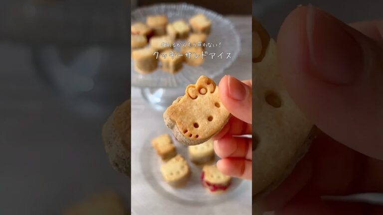 【作れるからもう買わない】ザクザククッキーサンドアイスの作り方🫢💕