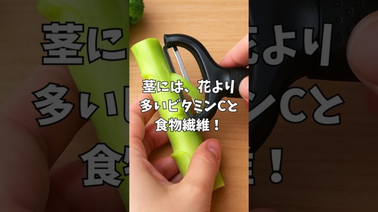 【知らなきゃ損】ブロッコリーの茎、実は“栄養の宝庫”だった！ #Shorts
