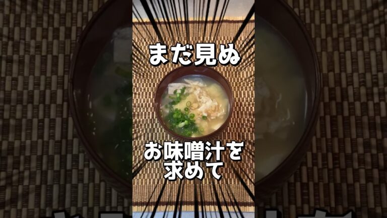【料理】ひきわり納豆のお味噌汁を求めて #味噌汁 #ゆっくり料理 #実験 #簡単
