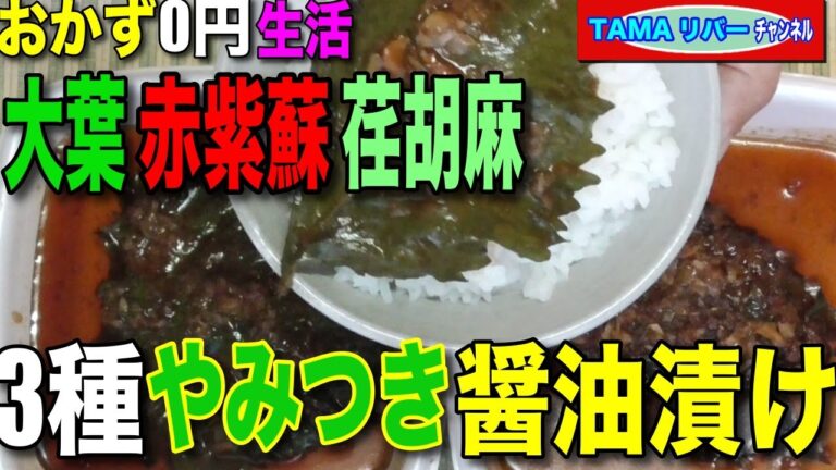 【おかず0円生活】シソ科三種（大葉・赤紫蘇・エゴマ）の醤油漬け【ご飯泥棒】