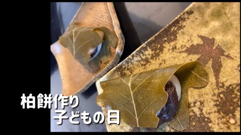 【子どもの簡単料理】柏餅つくり