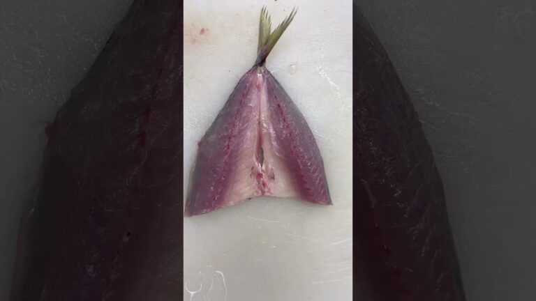 アジの干物作りを1分で！#魚 #富山 #捌き方 #干物