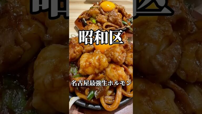 食べないと後悔する生ホルモンの味噌焼きうどん　近江牛ホルモン畜産八事店　#名古屋グルメ #焼肉 #うどん #shorts