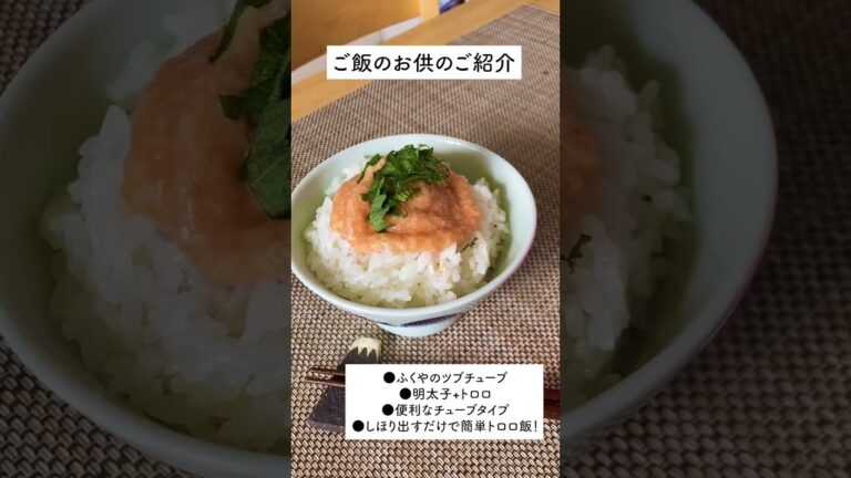 【ご飯のお供】ふくやの「ツブチューブミックス　明太子＋とろろ」【おかわりJAPAN】