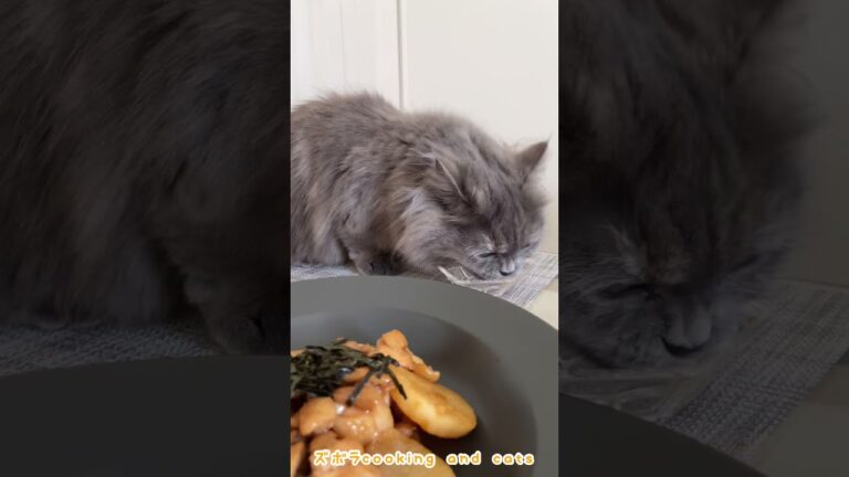 長芋と鶏肉の照り焼きwith cats #shorts