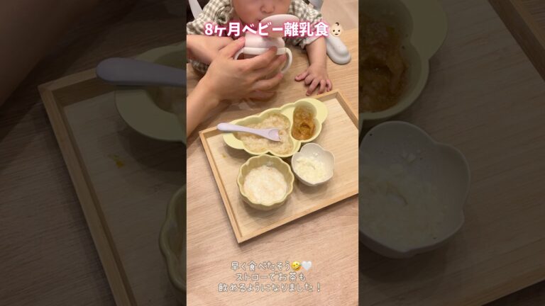 8ヶ月ベビの離乳食準備🍚！　　#離乳食  #離乳食レシピ #離乳食ストック #離乳食初期 #離乳食中期 #赤ちゃんのいる生活 #8ヶ月ベビー #作り置き#もぐもぐタイム #赤ちゃん