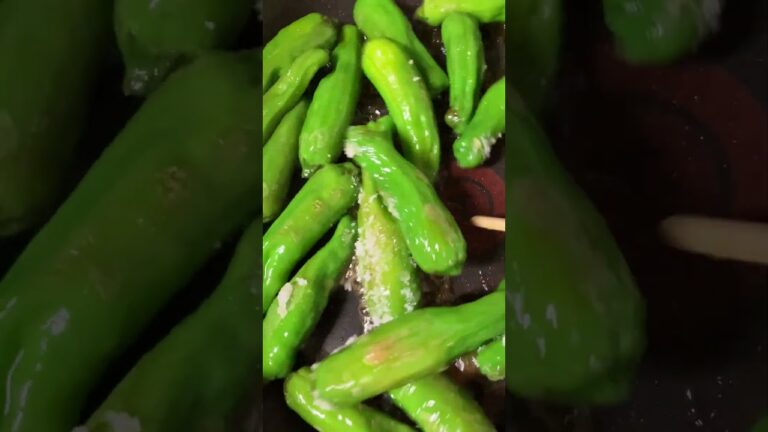 QUICK COOK ☆ししとうきんぴらレシピ③☆ 家庭菜園採れたて獅子唐の料理  cooking vegetables( green pepper ) from farm 2023.07.02