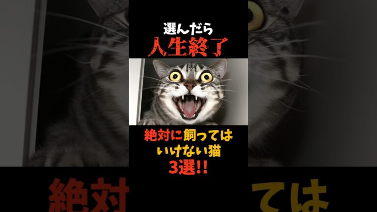 絶対に飼うな！人生が終了する猫3選#shorts