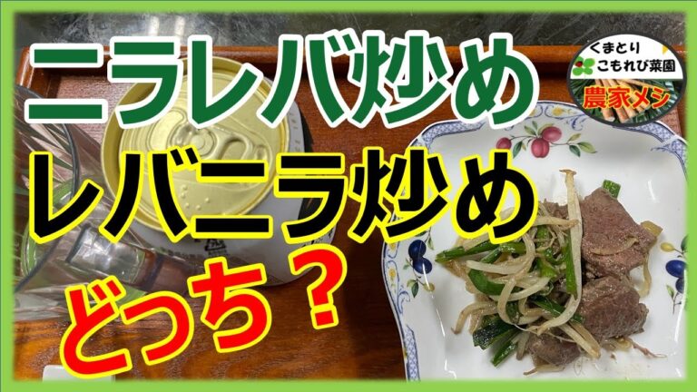 【ニラレバ炒め】レバニラ炒め？どっちが正しい？
