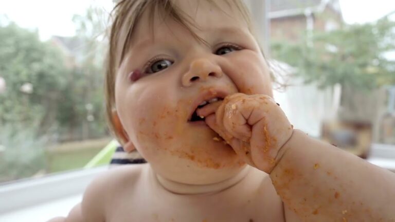 シュウ酸を多く含む食品　尿路結石の予防と対策　クエン酸＆マグネシウムを含む食品