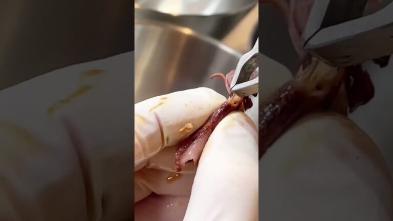 ホタルイカ｜下処理 #パスタ #ホタルイカ #パスタレシピ 詳しくはコメント欄✅