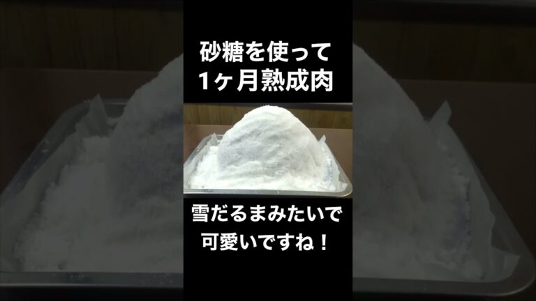 砂糖を使って1ヶ月熟成肉作ったら大変なことに！！#shorts