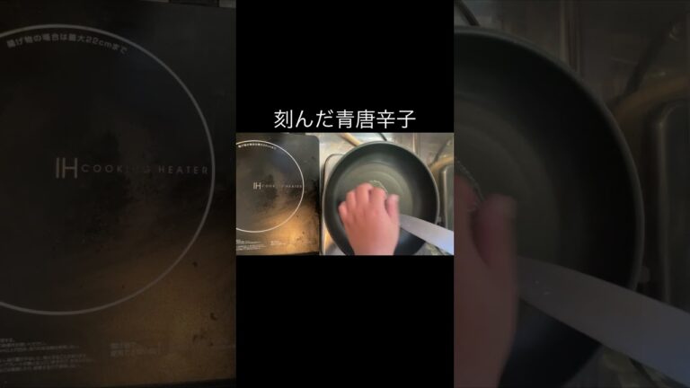 やすまるだしで和風ガパオライス