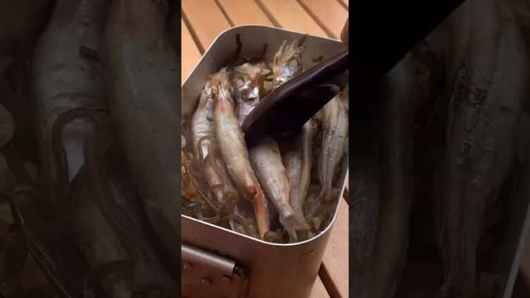 ししゃもの炊き込みご飯、とびっこをたくさんかけて。#shorts #camping #cooking