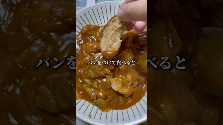 はじめて食べたブラウンシチュー「カレーみたいなシチュー」パンをつけて食べると美味しかった日 #shorts