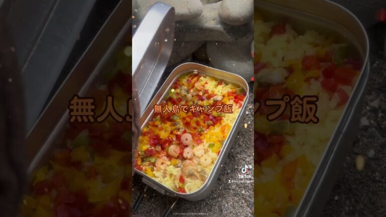 無人島でキャンプ飯。メスティンでシーフードパエリア