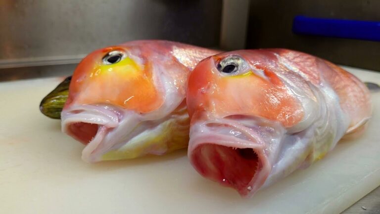 【職人技】甘鯛とイサキが旨い寿司になるまで【ASMR】How to make Sushi with Tile fish and Grunt .Japanese cutting technique