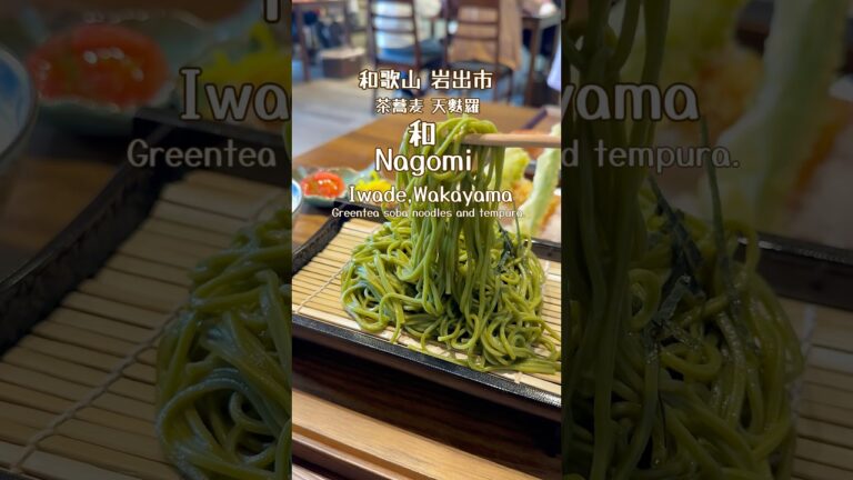 和とモモンちゃん #momonchan #和歌山 #蕎麦 #天ぷら #モモンちゃん