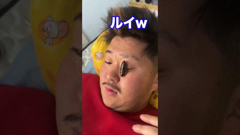 ゴキブリに慣れすぎた男wwww#shorts