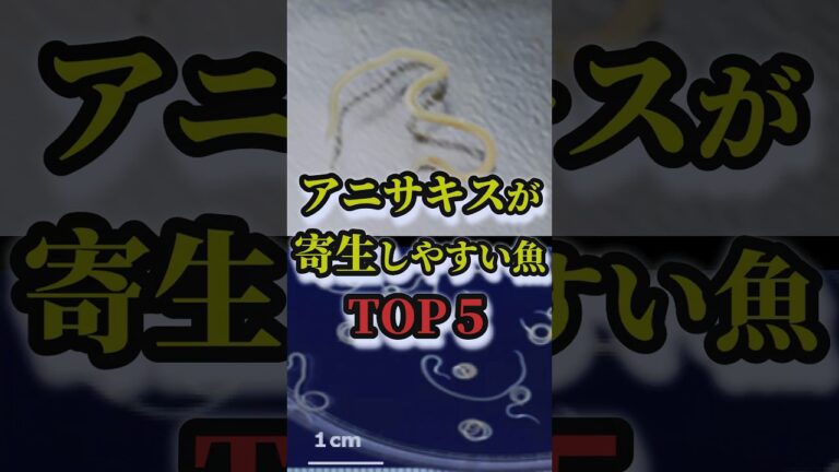 【30秒釣り雑学】アニサキスが寄生しやすい魚トップ５　#shorts