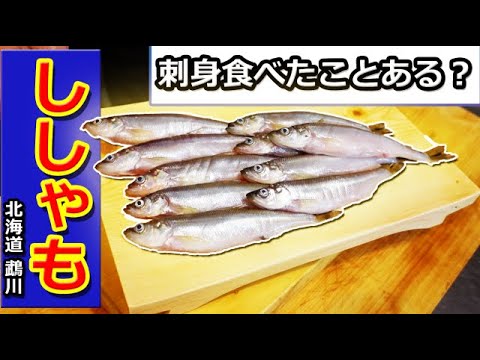 ししゃもを食べるならオスだ！