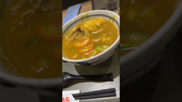 カレーうどん。    #ザビエル #パトロール #感謝 #shorts #若鯱家 #名古屋めし #カレーうどん #ねぎとろ丼 #名物カレーうどん #ソウルフード