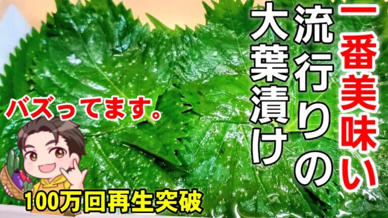 元祖！泣けるほど旨い。160万回再生突破【流行りのやみつき大葉漬け】(大葉レシピ/青ジソ/簡単副菜/大量消費/作り置き/保存方法/ご飯のお供/おにぎり)