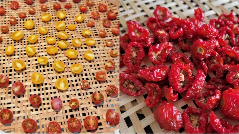 「天日干し ドライトマト」バジルとえごまペースト パン make dried tomatoes
