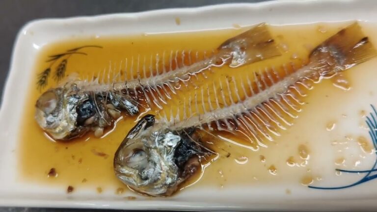 【魚の煮付は簡単】しず(イボダイ)の煮付けレシピッピ　フルバージョン