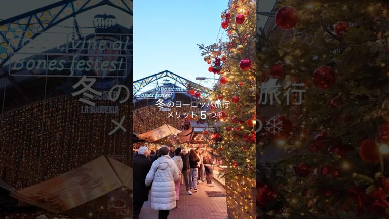 冬のヨーロッパ旅行がおすすめな5つの理由❄️ #ヨーロッパ　#ヨーロッパ旅行　#海外旅行 #海外旅行準備　#ヨーロッパ周遊 #クリスマスマーケット