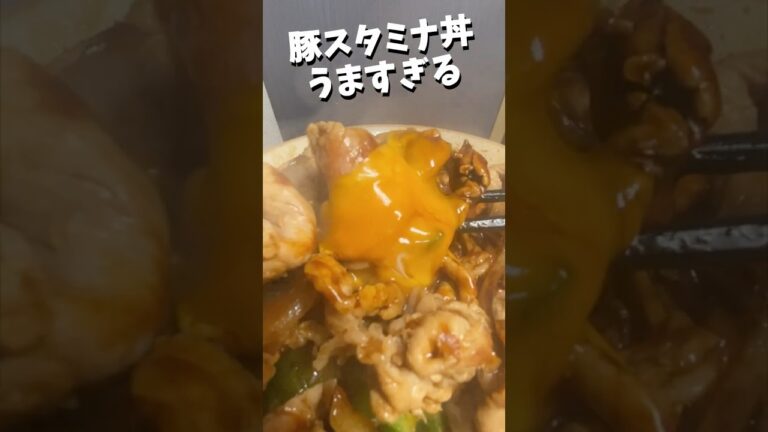 豚スタミナ丼がうますぎる