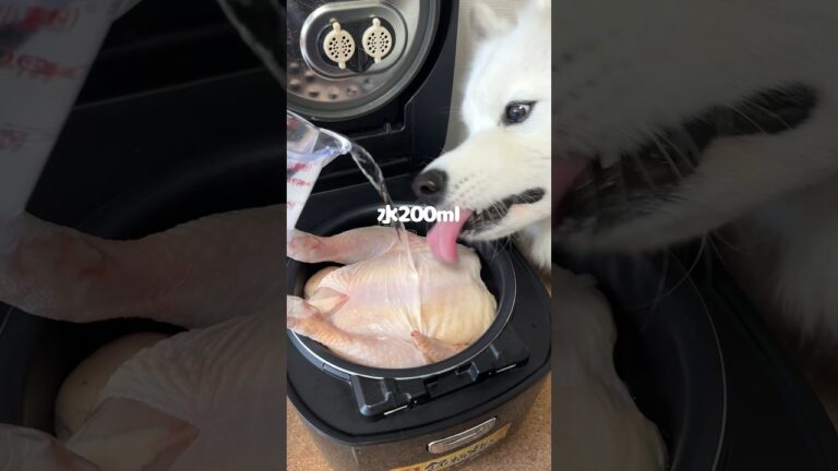 クリスマスはローストチキン風を爆食してくれました！#炊飯器犬