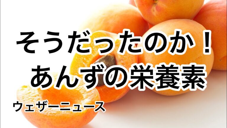 そうだったのか！あんずの栄養素