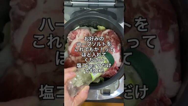 冷凍庫からそのまま炊飯器にダイブ！豚肉のトマト煮込み