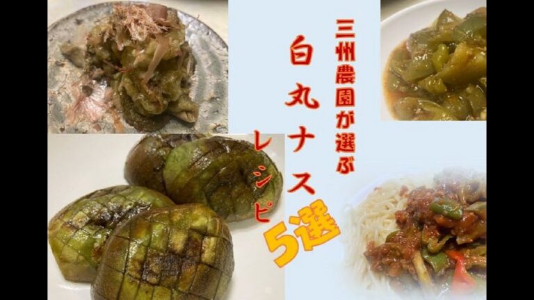 とろ旨『白丸ナスレシピ５選』～三州農園☆超適当「しったか」レシピ