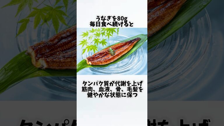 うなぎを毎日食べたらどうなるの？①【30秒でわかる効果まとめ】#うなぎ #ダイエット #筋トレ #美容 #健康 #雑学 #ナレーター #小林将大