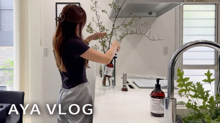 30代主婦の日常🌿2日間のお弁当とご飯作り🍳キッチン換気扇掃除🫧新しい観葉植物🪴在宅ワーママvlog