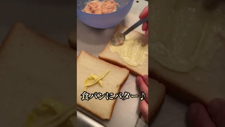 ツナトーストに持ってる調味料色々と塗りたくる44歳貧乏
